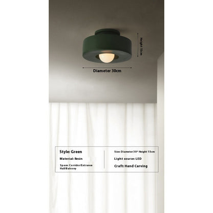 30cm Nordic Resin Ceiling Light / Green