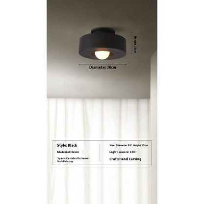 30cm Nordic Resin Ceiling Light