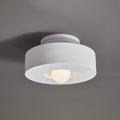 30cm Nordic Resin Ceiling Light