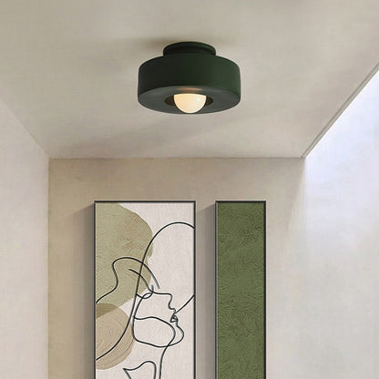 30cm Nordic Resin Ceiling Light / Black